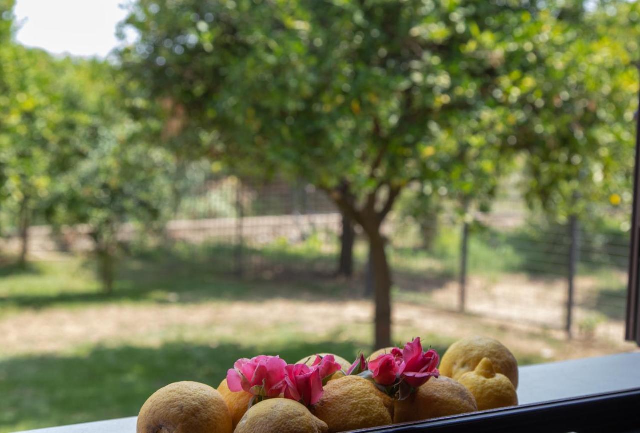Villa Tatai Country House By Dimore Trinacria Belvedere  エクステリア 写真